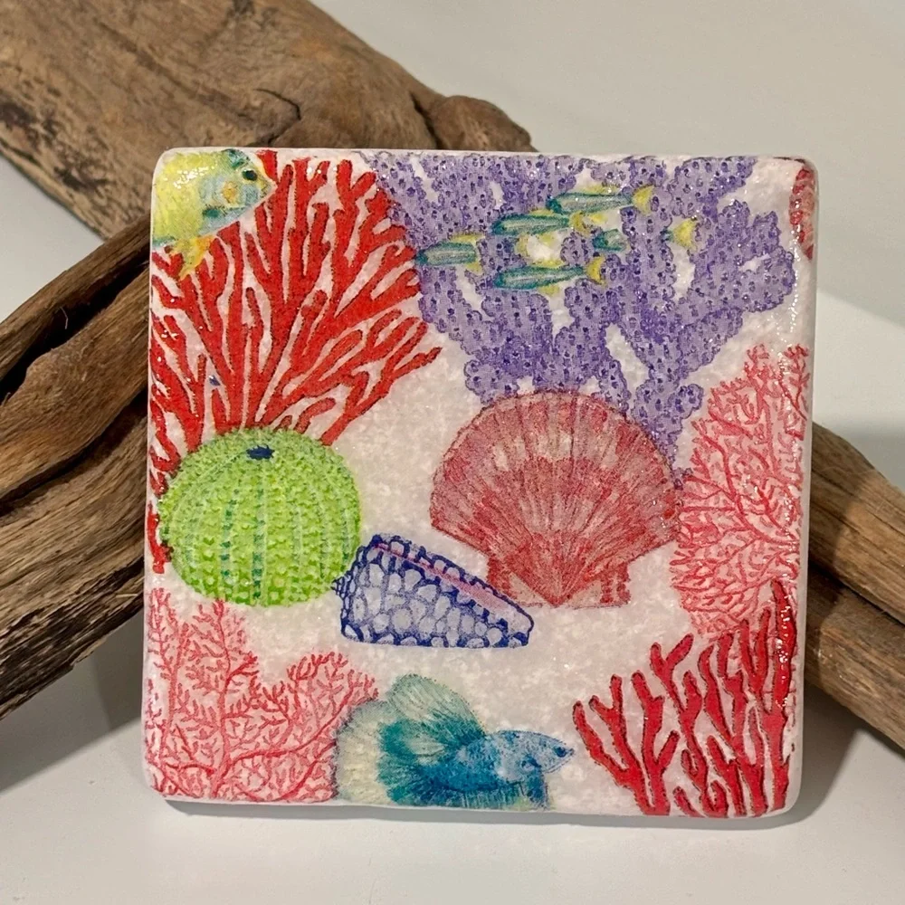 Under the Sea Coaster and Clamshell Trinket Holder set